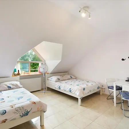 Homestay Pensjonat Perelka